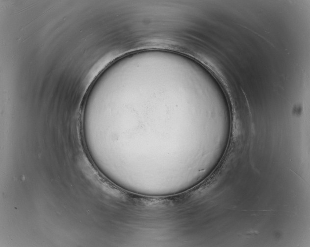 X0000112140899200908281314