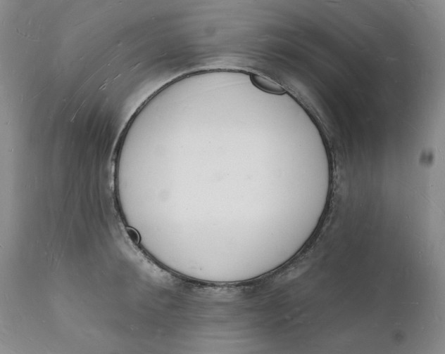 X0000112140900200908281314