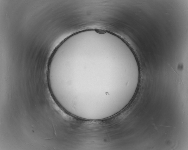 X0000112140902200908281314