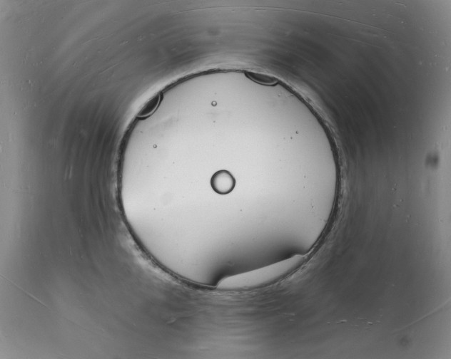 X0000112140904200908281314