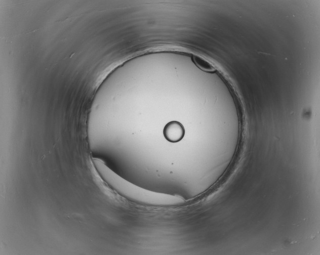 X0000112140905200908281314