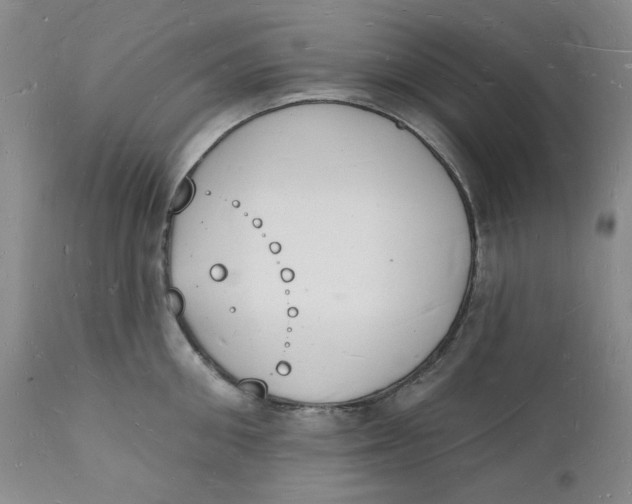 X0000112140906200908281314