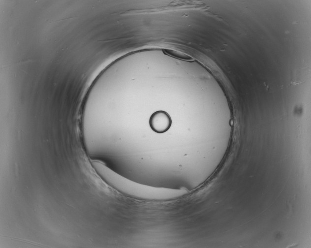 X0000112140908200908281314