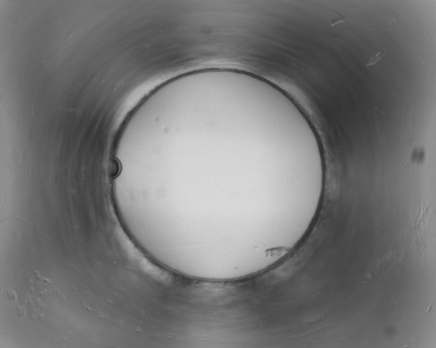 X0000112140910200908281314