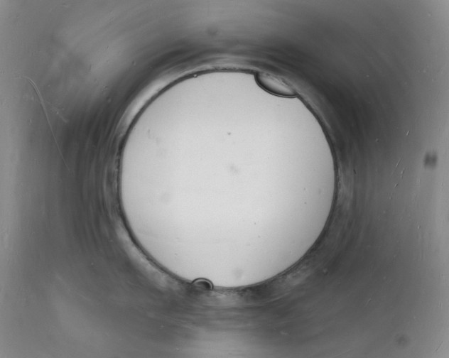 X0000112140911200908281314