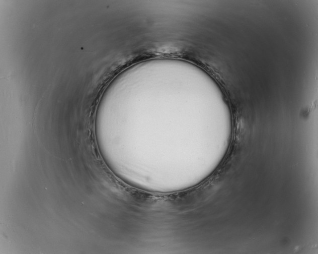 X0000112140913200908281313