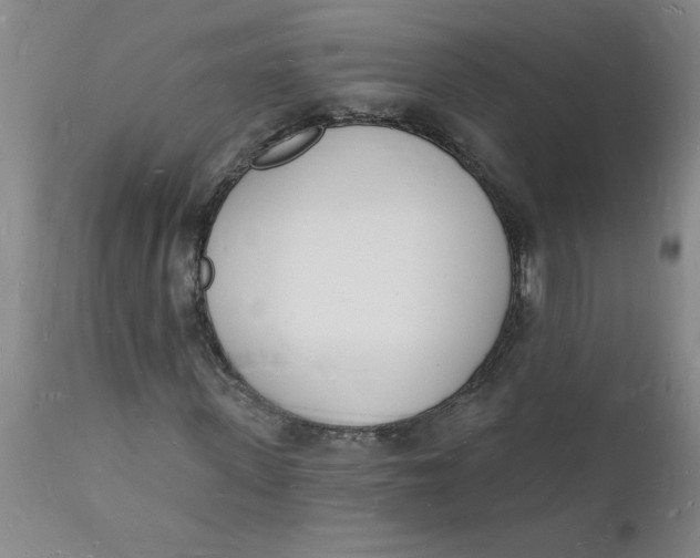 X0000112140915200908281313