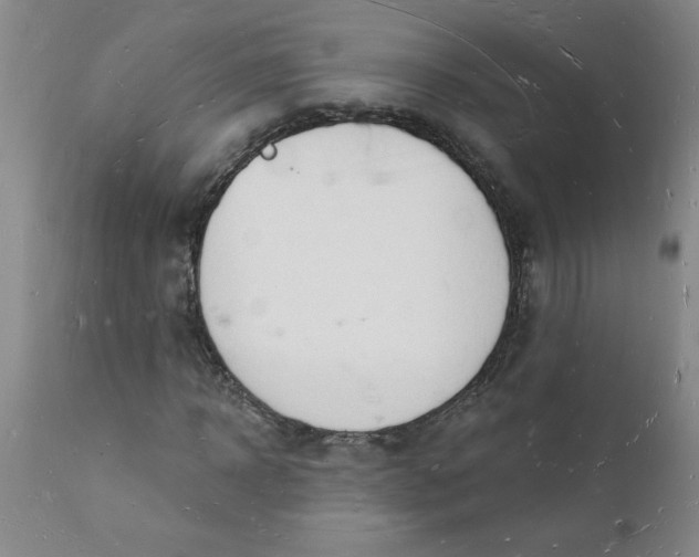 X0000112140918200908281313