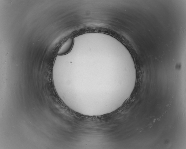 X0000112140919200908281313