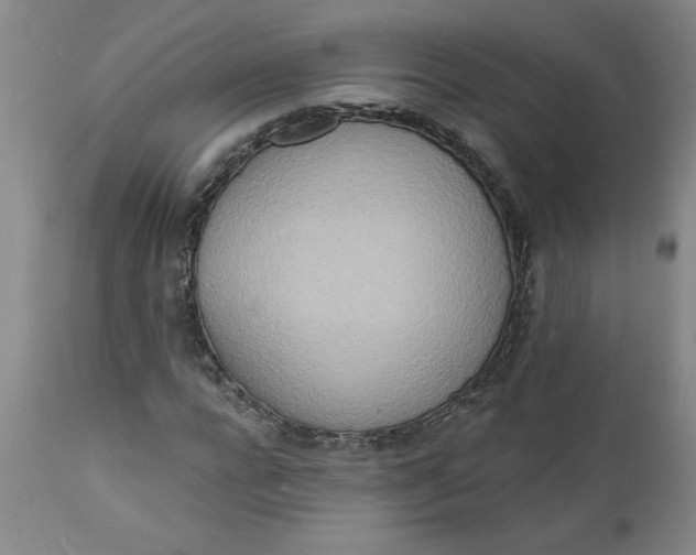 X0000112140920200908281313