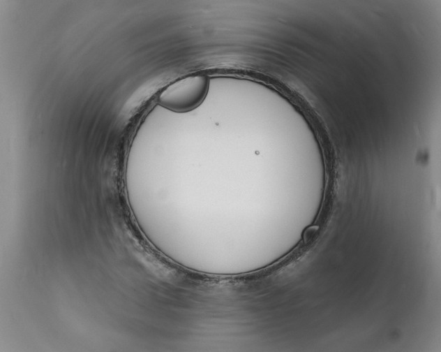 X0000112140922200908281313