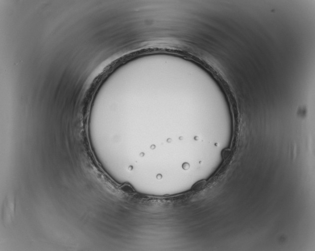 X0000112140923200908281313