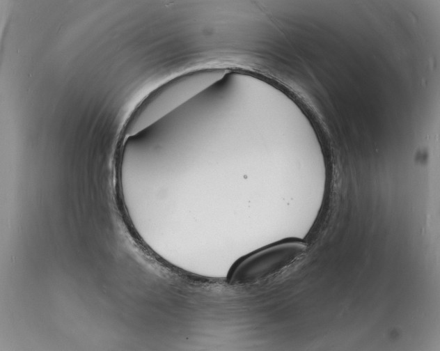 X0000112140936200908281313