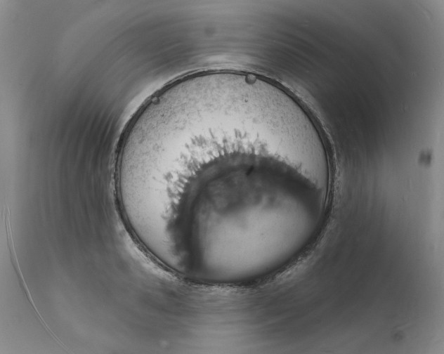 X0000112140941200908281313