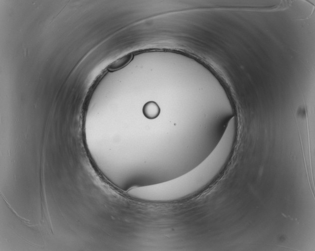 X0000112140944200908281313