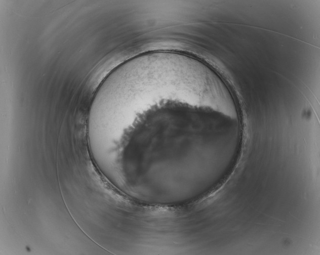 X0000112140945200908281313