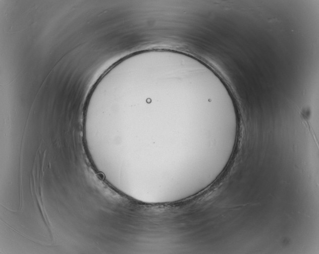 X0000112140948200908281313