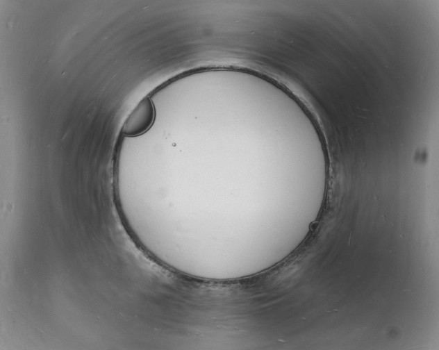 X0000112140951200908281313