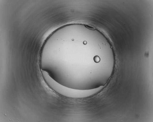 X0000112140952200908281313