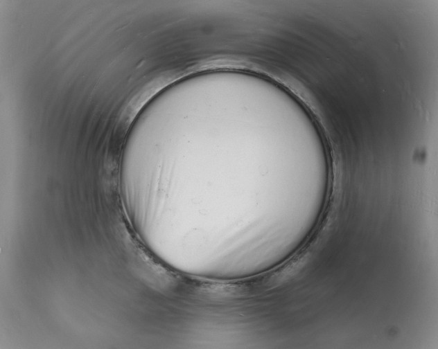 X0000112140953200908281313