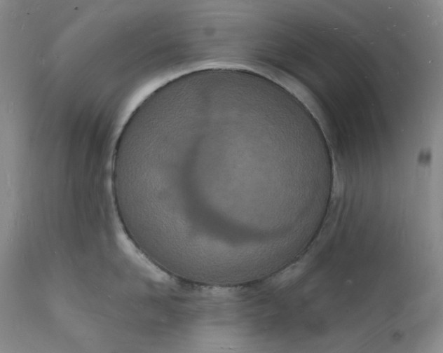 X0000112140958200908281313