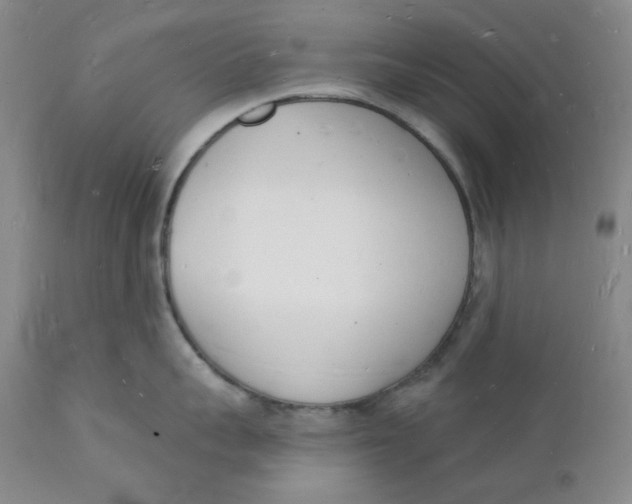 X0000112140959200908281313