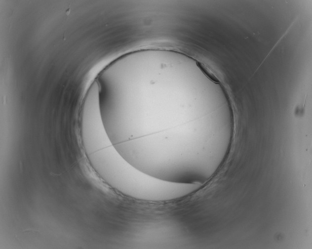 X0000112140960200908281313