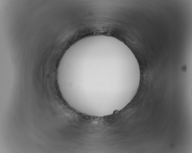 X0000112140961200908281313