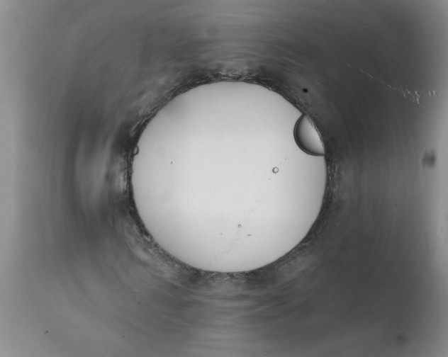 X0000112140962200908281313