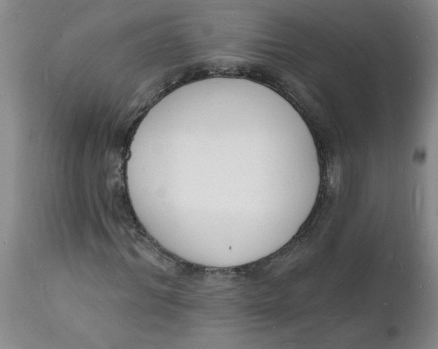 X0000112140964200908281313