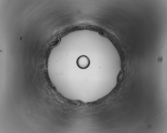 X0000112140965200908281313