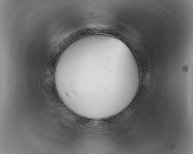 X0000112140966200908281313