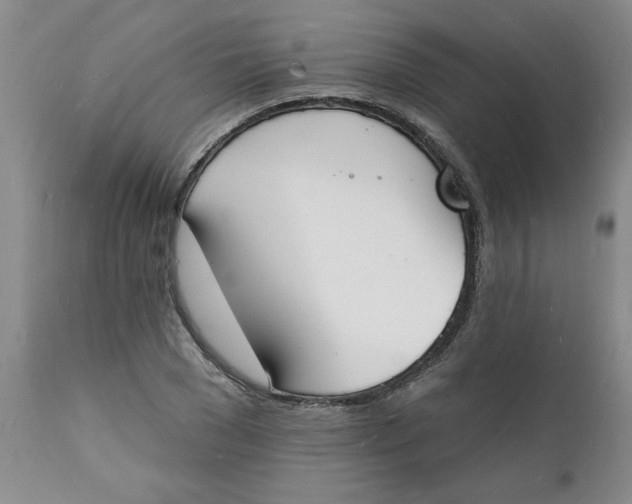 X0000112140977200908281312