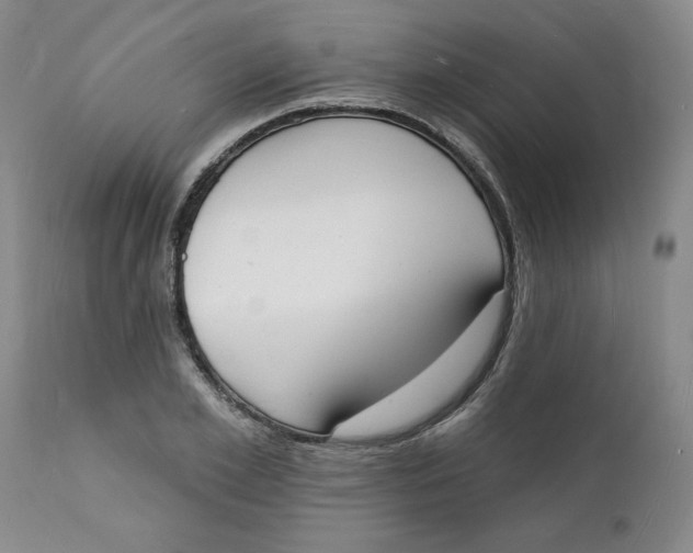 X0000112140981200908281312