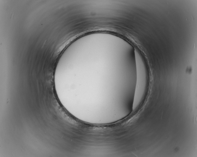 X0000112140985200908281312