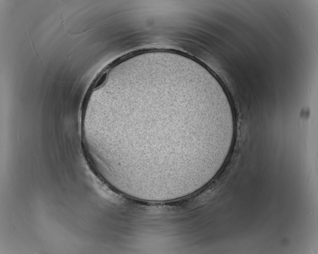 X0000112140988200908281312