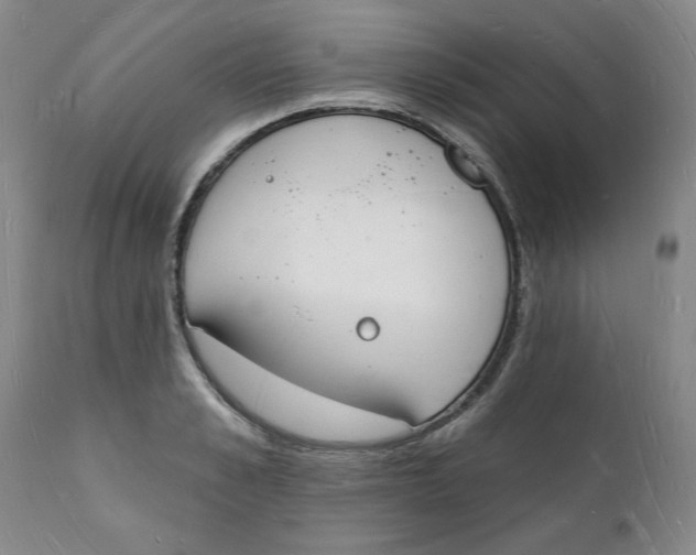 X0000112140989200908281312