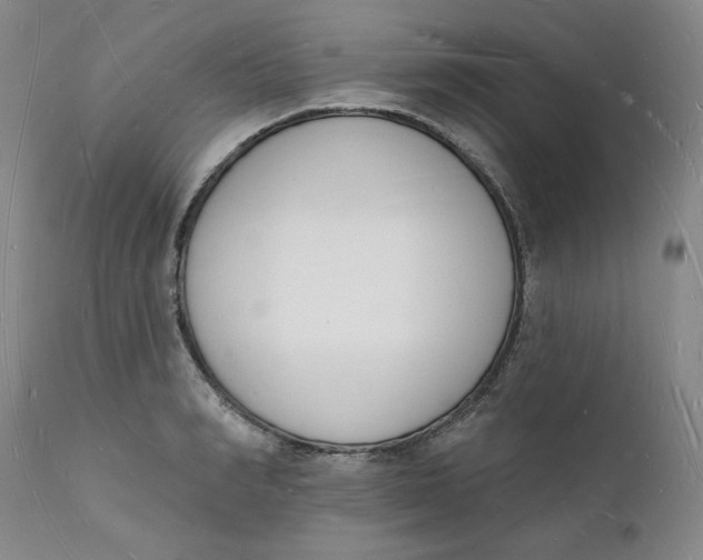 X0000112140990200908281312