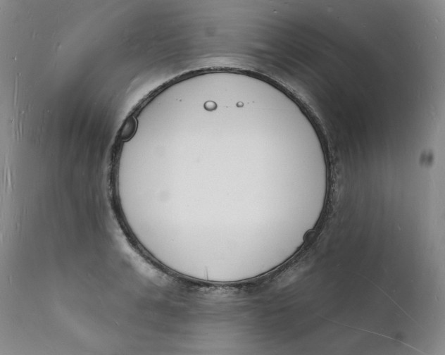 X0000112140991200908281312