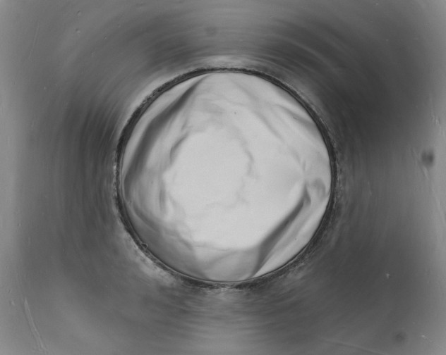 X0000112140992200908281312