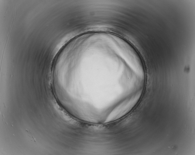 X0000112140994200908281312