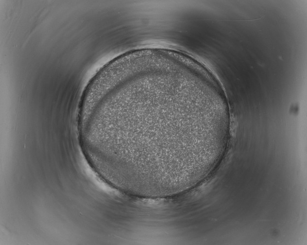 X0000112140995200908281312