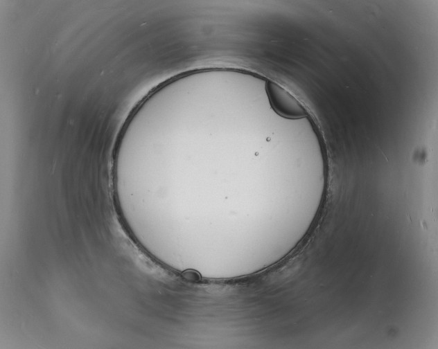 X0000112140996200908281312