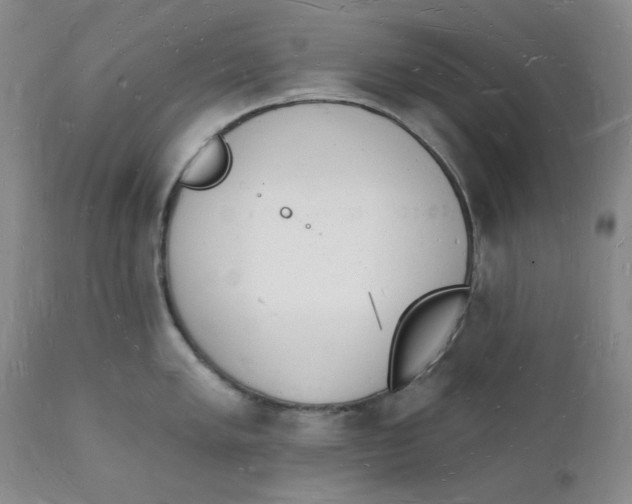 X0000112141005200908281312