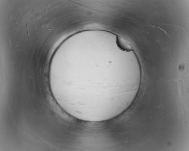 X0000112141008200908281312