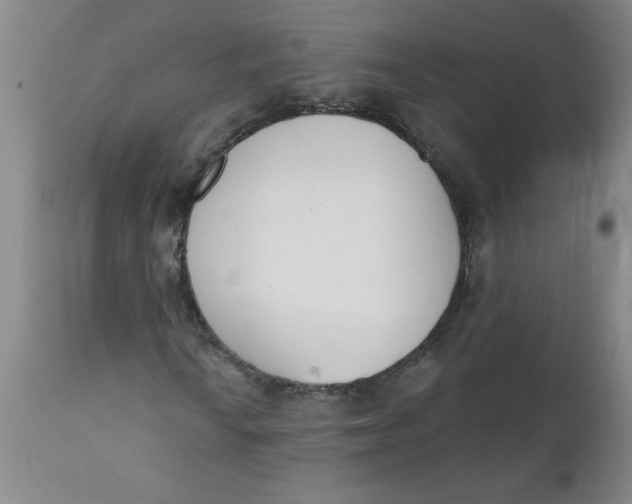 X0000112141010200908281311