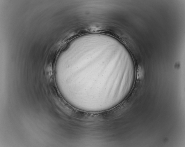 X0000112141011200908281311