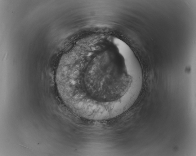 X0000112141013200908281311