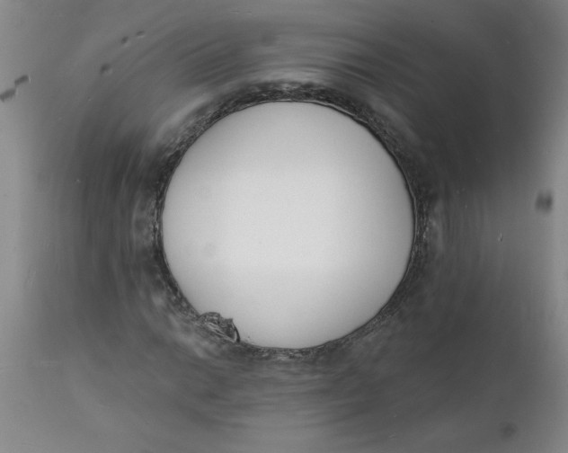 X0000112141014200908281311