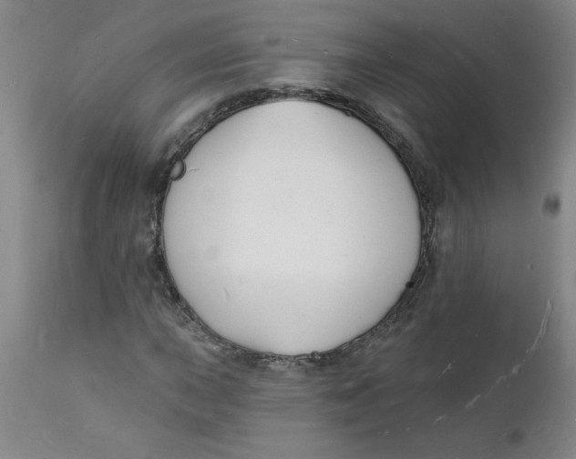 X0000112141015200908281311